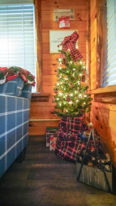 Charming Lakeview Cabin Near Geneva-On-The-Lake! アシュタビューラ エクステリア 写真